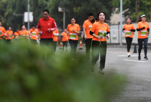 马拉松 2020重庆半程马拉松鸣枪起跑