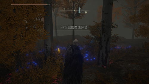 艾尔登法环隐身魔法怎么获得 隐身魔法获得方法介绍 3DM单机 