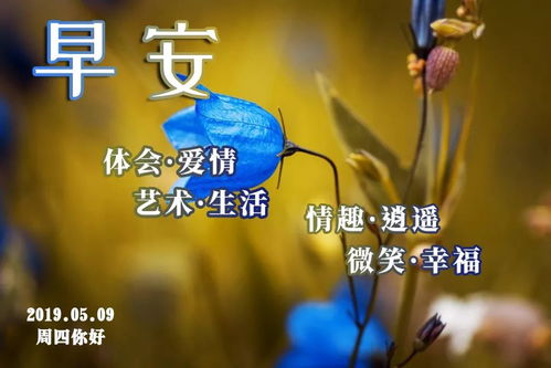 5月9号星期四早上好图片鲜花带字 5月新版的动画表情祝福图片问候早上好