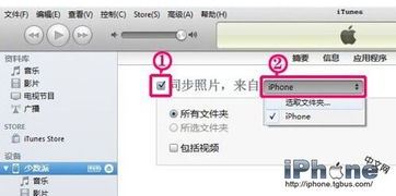 win10如何iphone照片导出照片软件