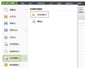 wps保护功能怎么取消，wps怎样取消保护