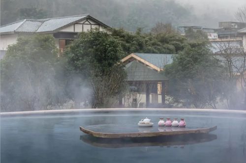 雪山下的森林温泉,冬日里最温暖的度假胜地