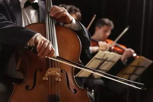 XX音乐学院提琴制作好考吗