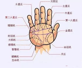 体相看福气,女人大富大贵的10种体相 