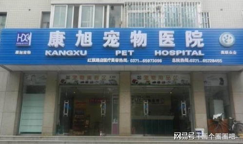 郑州哪家宠物医院比较靠谱 附带毛小孩看病的注意事项