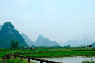 桂林旅游频道(桂林十大值得去的景点)