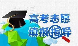 选择决定命运 从周易八字命理指导高考志愿填报与院校选择