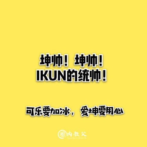 在打call这件事上IKUN绝不认输 IKUN霸气应援口号赏析