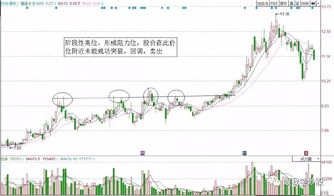 福建水泥是支股票吗？是新股吗？评价怎么？哪个银行可买？