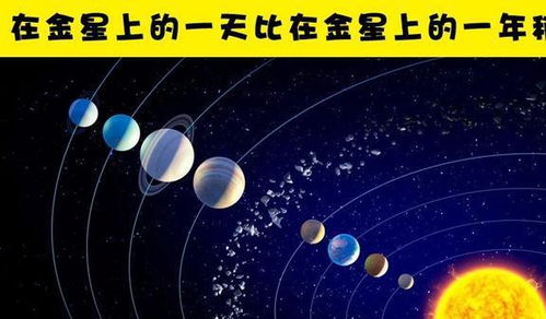 你可能不会在课本里学到的10个相当有趣的冷知识