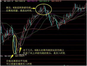 邮币卡的均线和k线怎么看