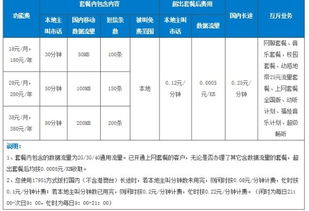 本地主叫国内120分钟什么意思