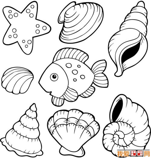 海洋动物和海洋生物简笔画图片大全