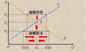 市场经济中需求曲线和供给曲线是根据什么画出来的？