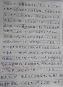 小学生写作文告白李易峰 老师 愿你早日醒来