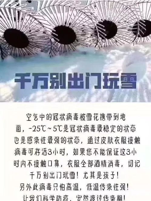 今天去旅游了去了客厅 作文 我喜欢的一首歌 追光者