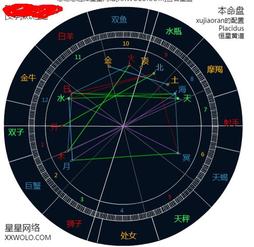 占星与八字合参 