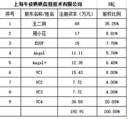 可以出资少占股权多吗