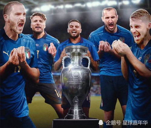 意大利夺欧洲杯冠军进球,意大利夺欧洲杯冠军进球：重温辉煌时刻-第3张图片-安阳富翔贸易公司