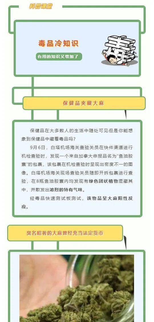 50种冷知识大全 冷知识大全1000条