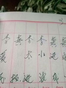 这些名字是什么字 