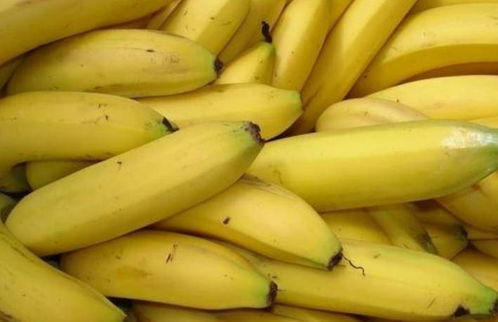 去超市买香蕉时应该怎样挑选 学会这几个小妙招,保准一挑一个准