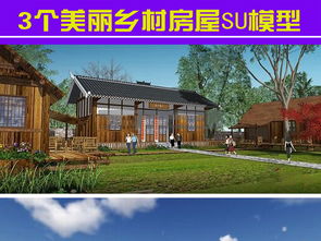 3个美丽乡村房屋建筑SU模型图片下载skp素材 其他模型 