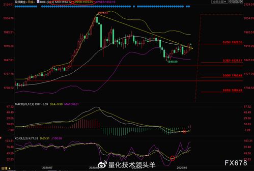 炒现货白银对比炒外汇有哪些