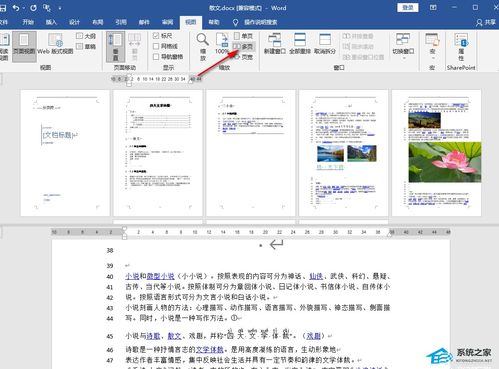 wps内怎么分屏(wps office怎么分屏)