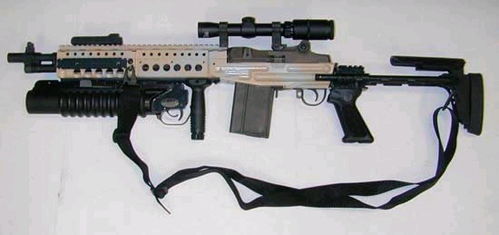 武器专栏 M14EBR