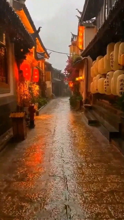 下雨天走在这条路上,有种梦回大唐的感觉,属实让人流连忘返啊 