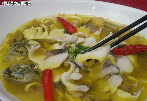 草鱼怎么做好吃 四川酸菜鱼,家常修改版酸菜鱼的做法和步骤