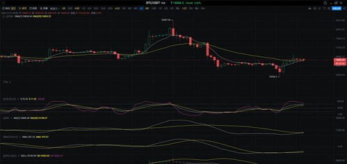 btc比特币行情分析最新消息新闻,比特币行情分析:BTC最新消息 btc比特币行情分析最新消息新闻,比特币行情分析:BTC最新消息 生态