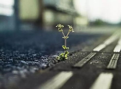 射手座女生的性格标签