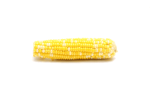 玉米是 明星 抗癌食品,最佳吃法竟然是整根啃