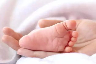 关于宝宝光脚被人制止,究竟光脚好还是不好