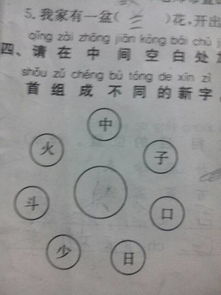 沙陀螺造句  什么陀螺填动词？