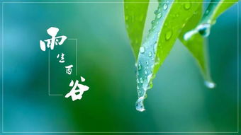 谷雨 且招邻院客,试煮落花泉 活动 