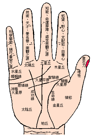 手相教程 生命线短不一定寿命短 图