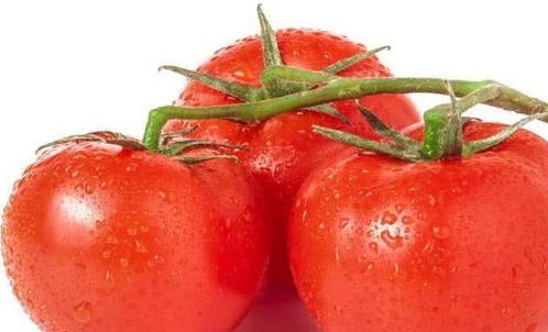 吃西红柿有7大好处,那西红柿是蔬菜还是水果,空腹可以吃吗
