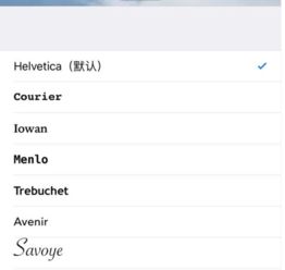 苹果手机怎么设置字体 
