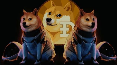 doge币行情,为什么要投资狗狗币 doge币行情,为什么要投资狗狗币 快讯