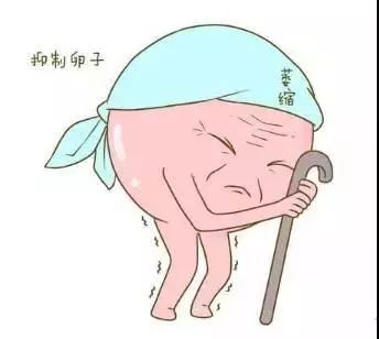 卵巢不排卵怎么办 