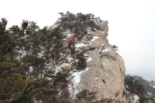 关于登山感受的诗句