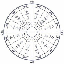 占星中命宫12宫代表的含义 上