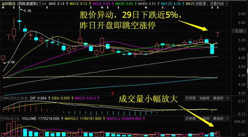 怎样能看到主力资金进一只股票