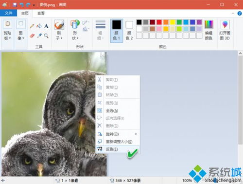 win10画图怎么画圆角