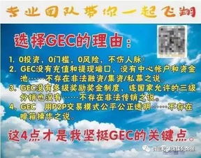 gec币可以买吗,gec币可以在淘宝买东西吗?