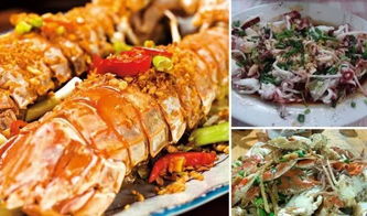 阳江旅游攻略：探索南国之滨的魅力与美食