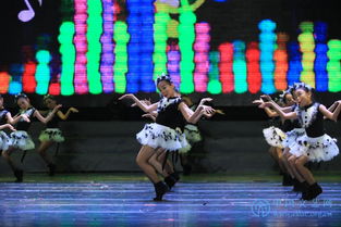 第七届中国舞蹈节 中国舞蹈家协会全国教学成果展演在东胜举行